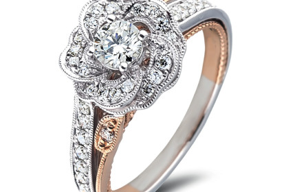 Ein glanzvoller Neuzugang