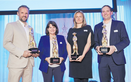 Goldenes Erdmännchen