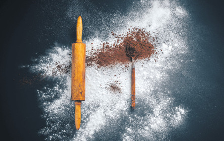 Auf die Kameras, fertig, los!