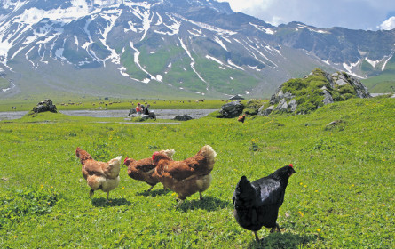 Neues Bio-Gütesiegel