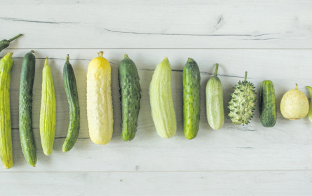 Wo „Arola” auf „Rebella” trifft