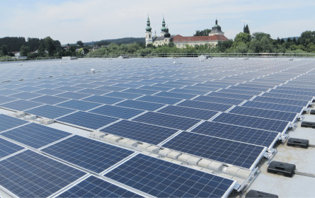 Groß wie ein Fußballfeld …