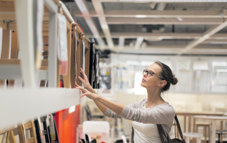 Auf Holz gebaut: Erstarkte Branche