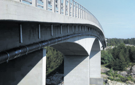 Fast schon hyperaktiv