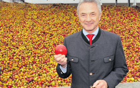 Spitz feiert den Hitzesommer