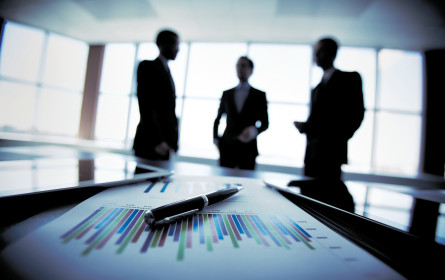 Pleitegeier verscheuchen