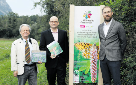 Gutes tun mit bi good