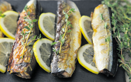 Frischer Fang für die Pfanne