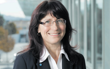 Ausgezeichneter Plan B