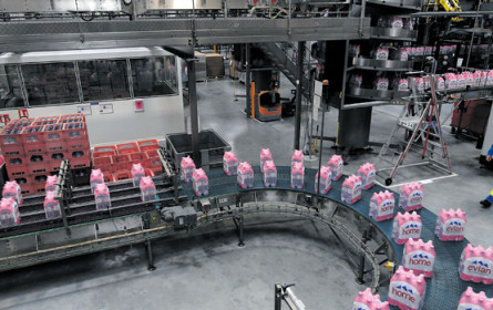 Das neue Bioplastik-Trio