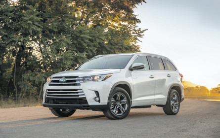 Kooperation bei Hybriden geplant?