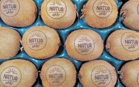 Hofer gegen den Verpackungsmüll