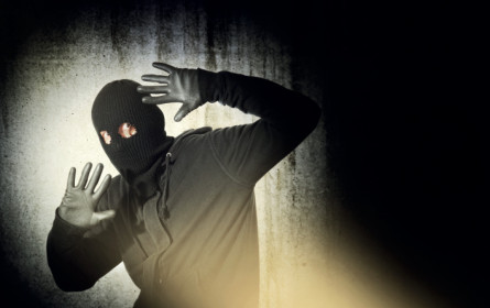 CRIF hat die Lösung