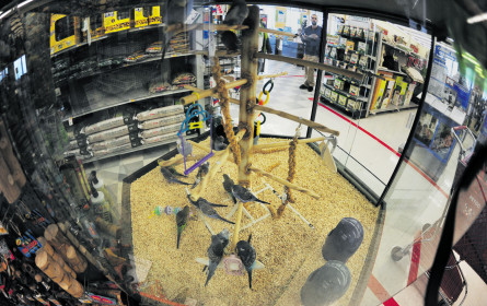 Eine Branche befindet sich im Höhenflug