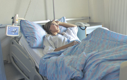 Fokus auf das Seltene