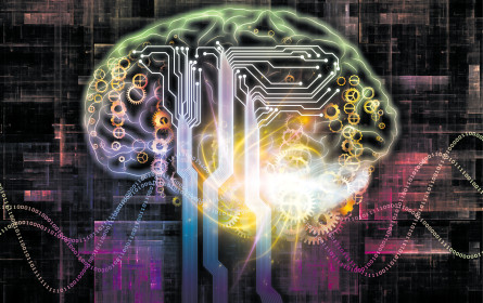 Alle Gefühlsregister ziehen