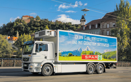 Spar unterwegs auf leisen Sohlen