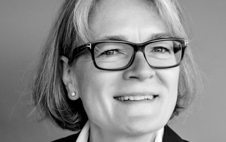 Differenzierung kommt von Differenz …