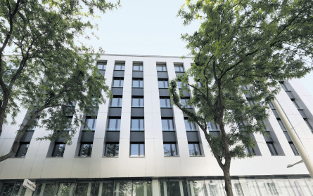 Besser als die Deutschen