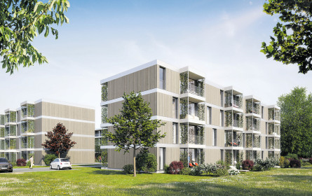 Holzmassivbau – ganz neu