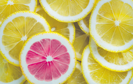 Differentiate or die!