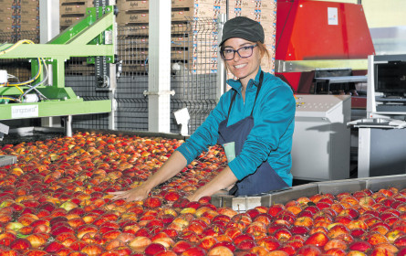 Knackfrisch aus Tirol