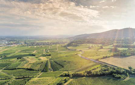 Vier Regionen mit ­Investitionspotenzial