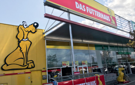 Auf den gelben Hund gekommen: Das Futterhaus