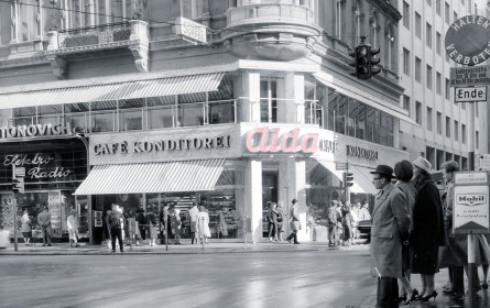 Von Wien bis in die Wüste