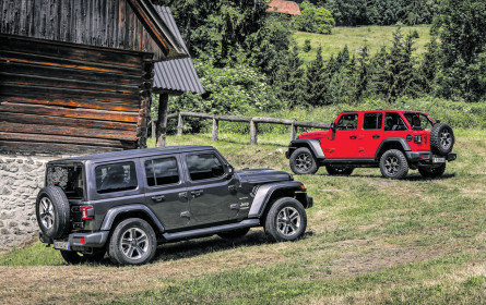 Pick-ups boomen weiter