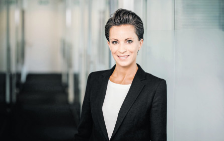 Arnold führt Mindshare