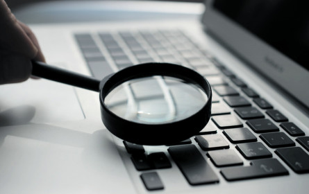 Unsinnige Marktforschung