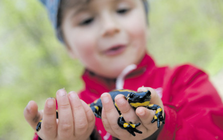 Hofers Schulwettbewerb