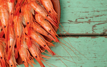 Garnelen nachhaltig genießen