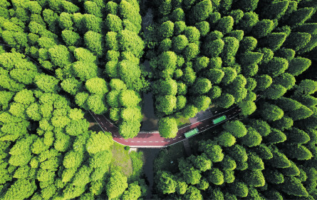 Grün ist nicht mehr fad und ungeliebt