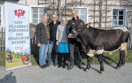 Im Kampf gegen das Artensterben