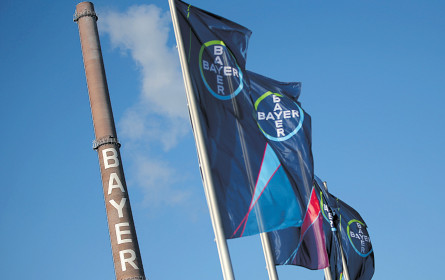 Bayer baut Konzern um