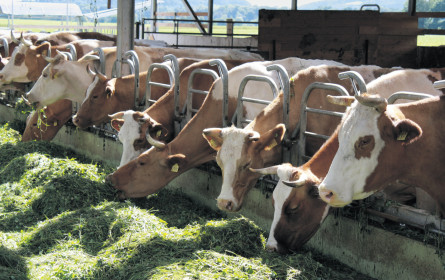 Wo Anthroposophie auf Agrikultur trifft