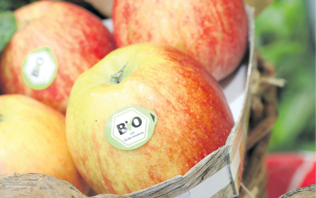 Auf dem größten Bio-Markt der Welt