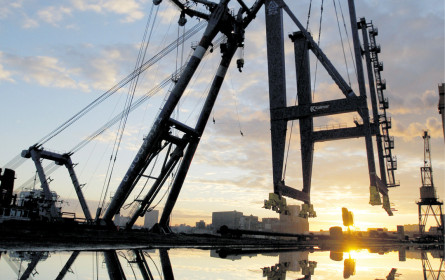 Die Vorschau auf 2019