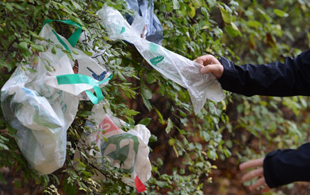 Handel unterstützt Kunststoffsackerl-Verbot