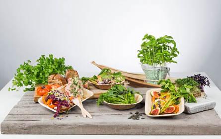 Metro präsentiert ökologische Alternativen zu Einwegplastik