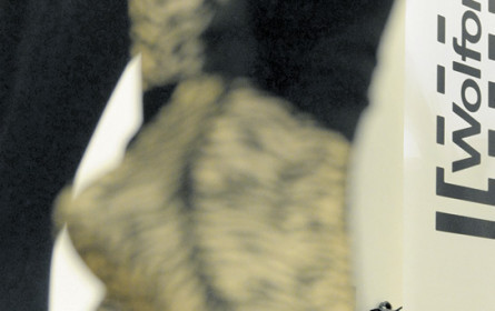 Strumpfkonzern Wolford rechnet für 2018/19 mit Verlust