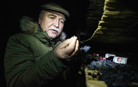 Wein pressen im Schein des Blutmondes