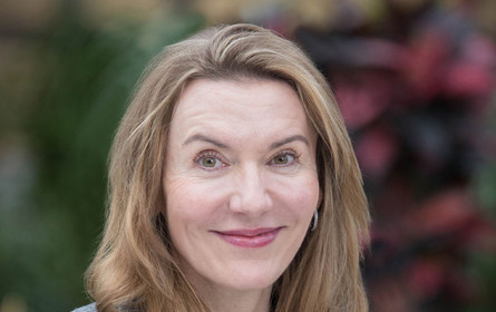 Pflanzen zum Valentinstag ungebrochen beliebt