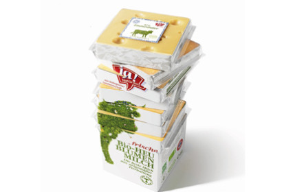 Eine muss Ja! die Beste sein