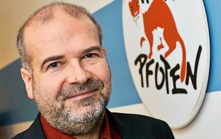 EU: Mehr als die Hälfte der Legehennen lebt elend in Käfigen