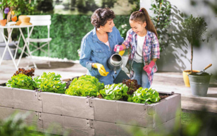 Hofer startet in die Gartensaison