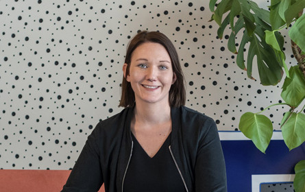 Neuzugang bei Heimat Wien