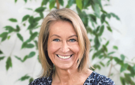 Die Frage nach dem Warum